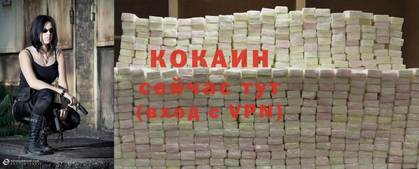 дмт Бронницы