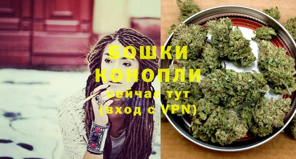 дмт Бронницы